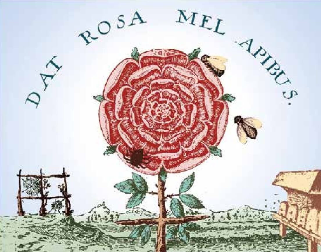 dat rosa mel apibus