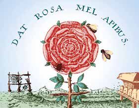 Rivista Rosa+Croce n.54 - Il simbolismo della rosa